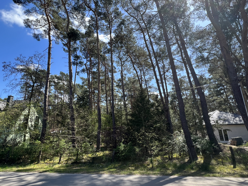 Grundstück in Borkheide, Foto 2
